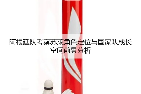 阿根廷队考察苏莱角色定位与国家队成长空间前景分析